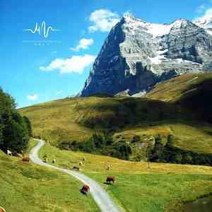 续写忧伤 (空灵声治愈)