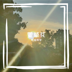 萱草花