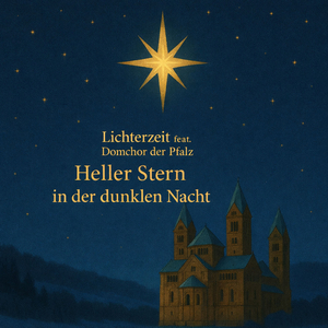 Heller Stern in Der Dunklen Nacht