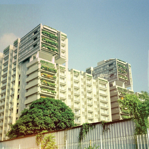 White Horses (Record Store Day '19 Version)