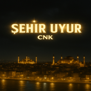 Şehir Uyur