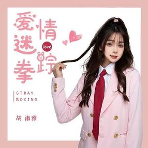 爱情迷踪拳（DJ版）