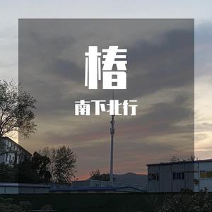 椿