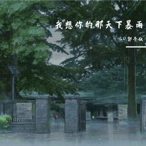 Lil Jet-暴雨Remix（S.D.郭子仪 remix）