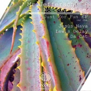 Just For Fun (Original Mix)