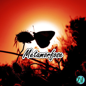 Metamorfose