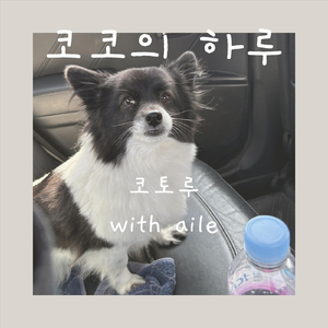 코코의 하루 (feat. aile)