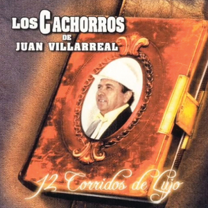 Emeterio Fierro (Danza De Zopilotes)