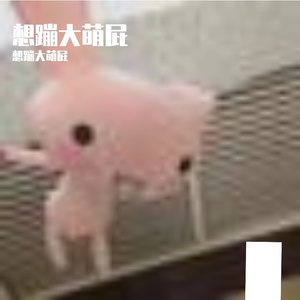 细雨与钢琴的静谧之约