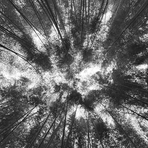 Where to go（Cover：王以太）