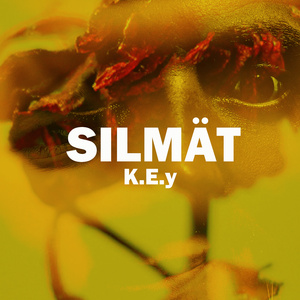 Silmät