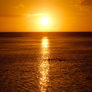 Stong la laitue (Radio Edit)