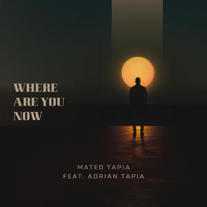 Where Are You Now (feat. Adrian Tapia) (Remix)