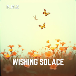 Wishing Solace