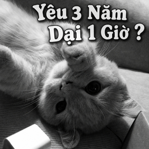 Yêu 3 Năm Dại 1 Giờ ?