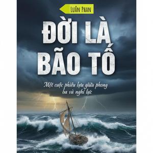 ĐỜI LÀ BÃO TỐ 1