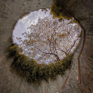 有一种悲伤（cover A-Lin）