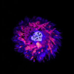 Scizzie-aquatic ambience（Go_ remix）