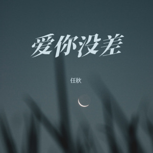 爱你没差