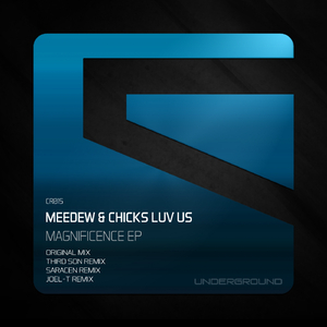 Magnificence (Joel-T Remix)