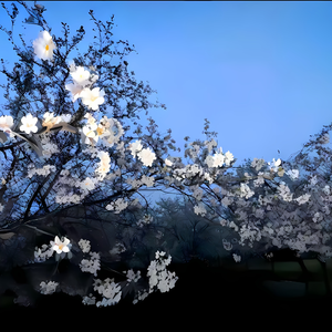 梦境入口（钢琴曲）