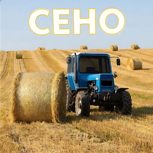 Сено