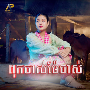 ពុកចាស់ម៉ែចាស់