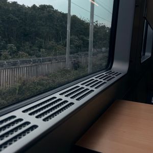 我们终将收到一束叫离别的花