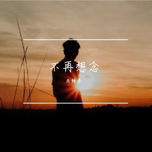 不再想念