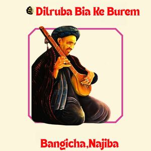 Dilruba Bia Ke Burem
