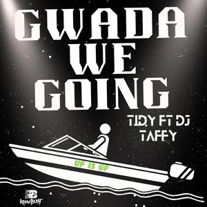 Gwada we going (feat. Tidy)
