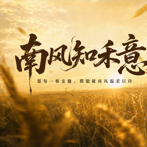 南风与禾