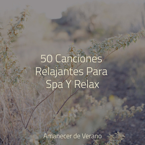 Hechizo del océano místico