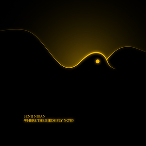 Where the Birds Fly Now?