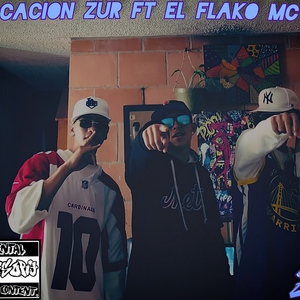 El Guazon