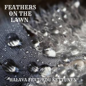 Feathers on the lawn (feat. Edu Kettunen)