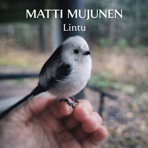 Lintu