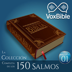 Salmo 17 - Oración por justicia y protección divina