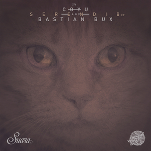 Satara (Original Mix)