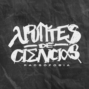 The Real Game (Procedimiento Experimental)