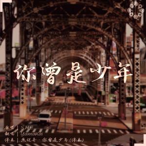 你曾是少年