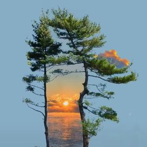 1.自律（Prod EVOMUSIC）