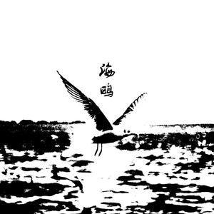 海鸥