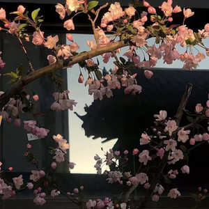 先说爱的人为什么先离开 田园