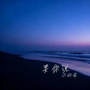 要你说