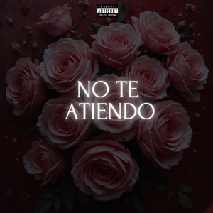 NO TE ATIENDO