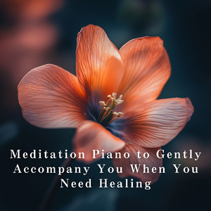 Embrace of Quiet Radiance