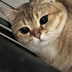 干物女（就这样WeiWei，雨点听着WeiWei声）