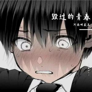 毁过的青春