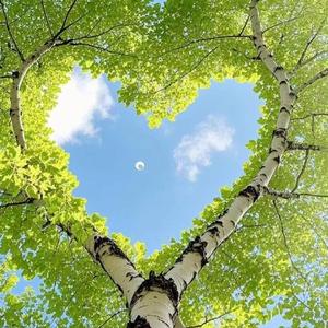 결혼은 학문 Comedy Jazz